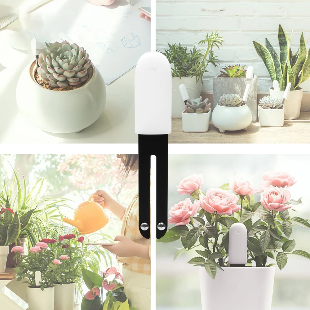 HHCC Flora Monitor Garden Care - Smart Home Xiaomi Devices incelemesi ve fiyatı
