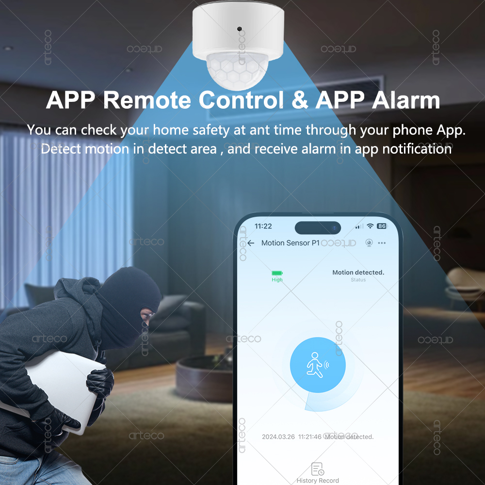 Ewelink Zigbee PIR Motion Sens - Smart Home Bridge incelemesi ve fiyatı