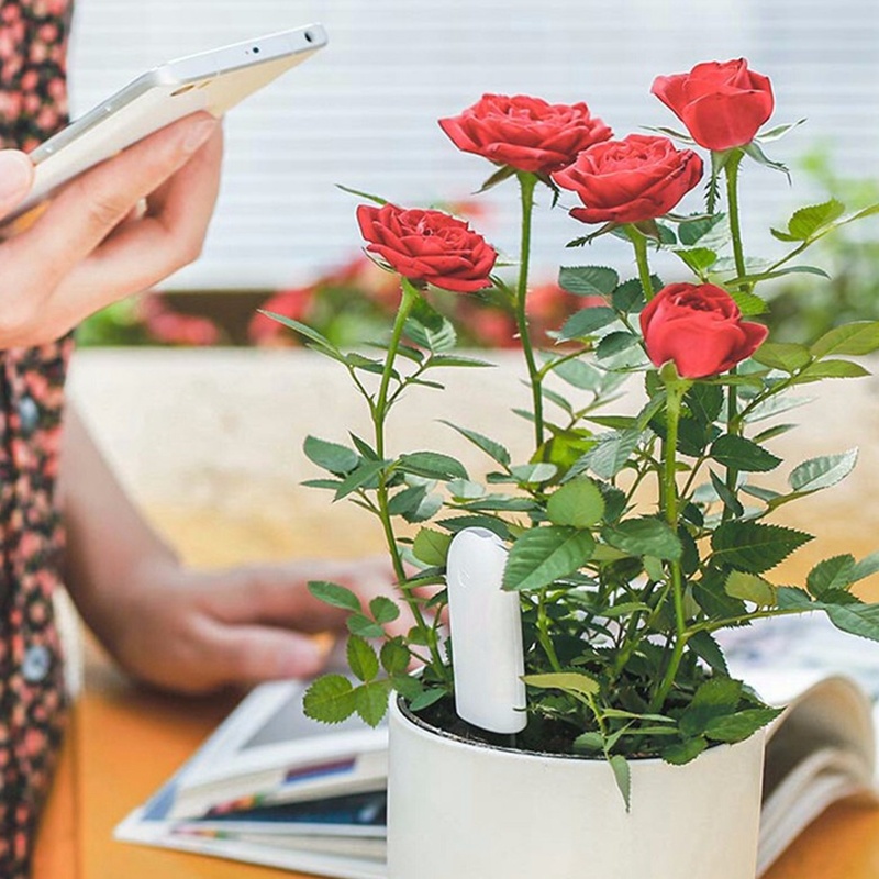HHCC Flower Monitor Flora Gard - Smart Home Xiaomi Devices incelemesi ve fiyatı