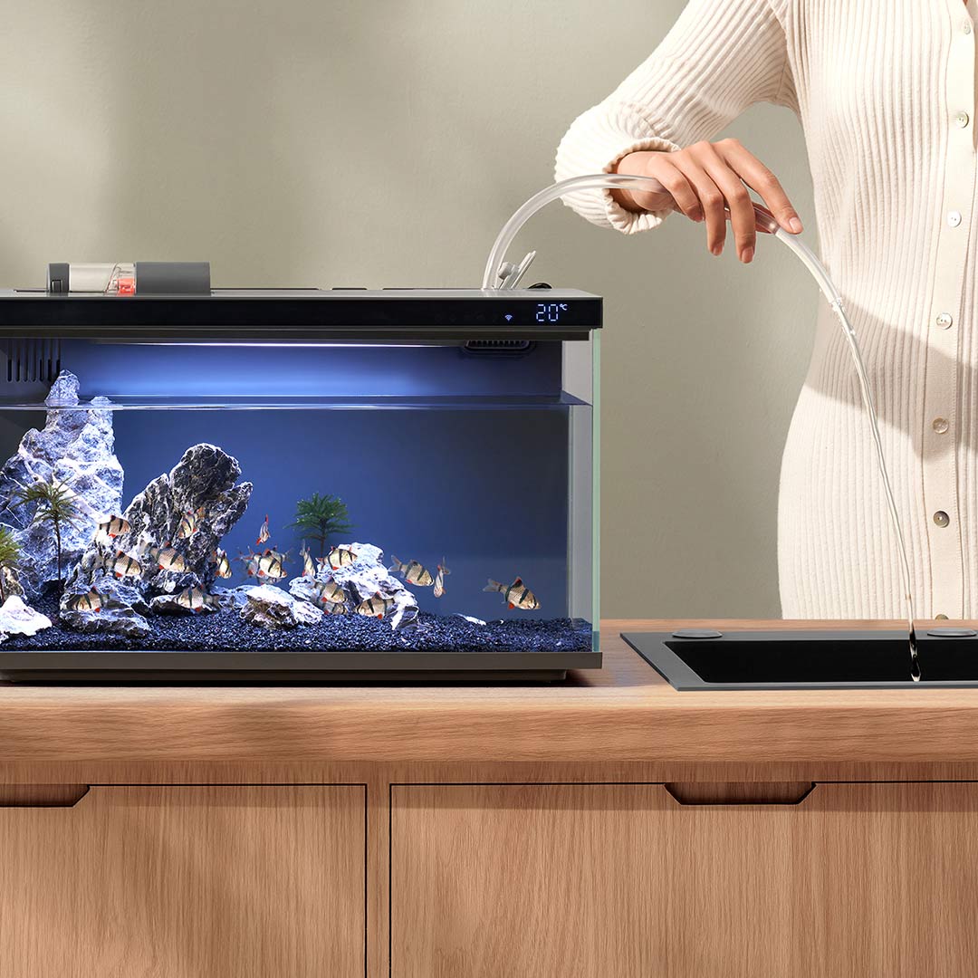 Xiaomi Mijia Smart Fish Tank M - Smart Home Xiaomi Devices incelemesi ve fiyatı